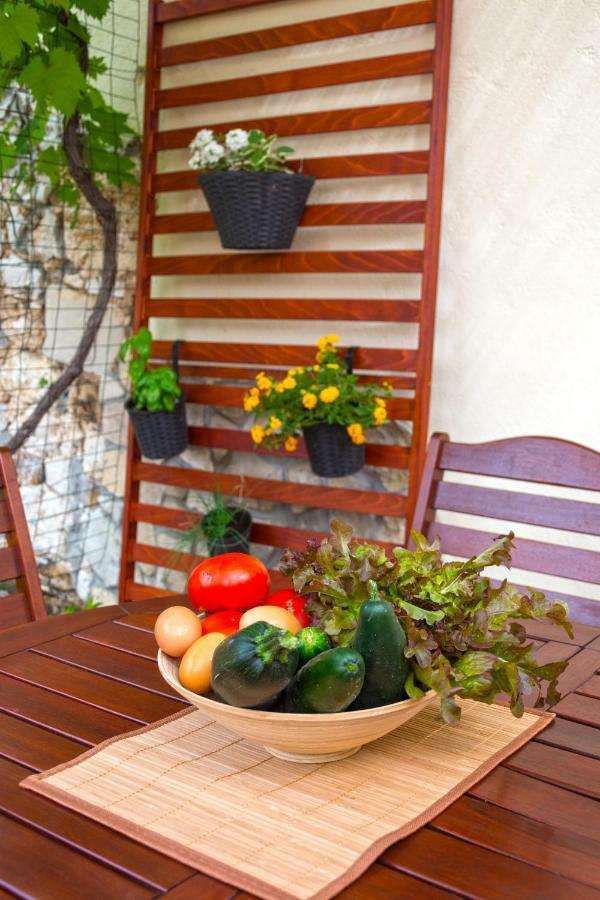 Mediterranean Terrace Apartment With Bikes & Sup Скрадин Екстериор снимка